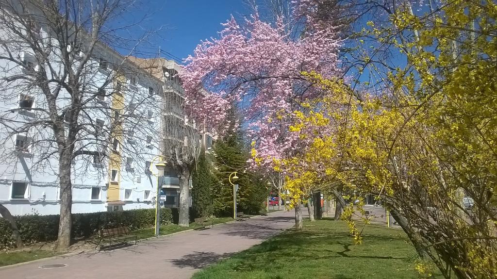 Apartamento Isabel Cuenca  Bagian luar foto
